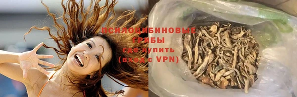 мет Гусиноозёрск