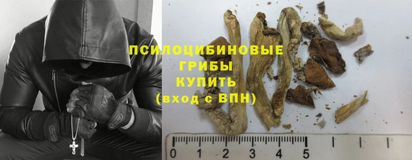 дживик Гусев