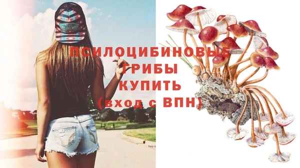 мет Гусиноозёрск