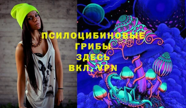 дживик Гусев