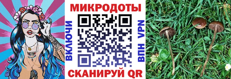 omg ссылка  Фокино  Псилоцибиновые грибы MAGIC MUSHROOMS 